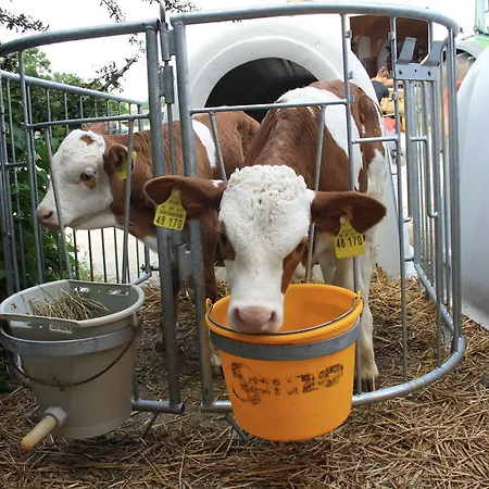 Landsted Ferienhof Adambauer Dorfen